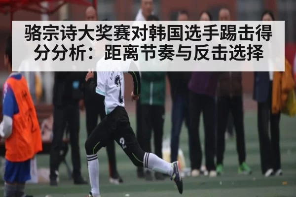 骆宗诗大奖赛对韩国选手踢击得分分析：距离节奏与反击选择